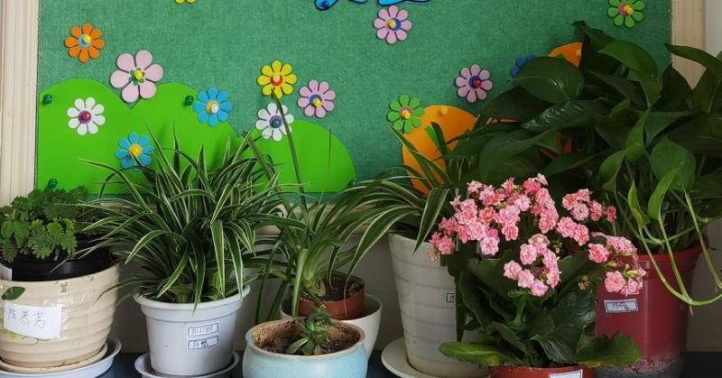 5c356d4c4caa12d70ad33afccd003f18.jpg 5c356d4c4caa12d70ad33afccd003f18.jpg