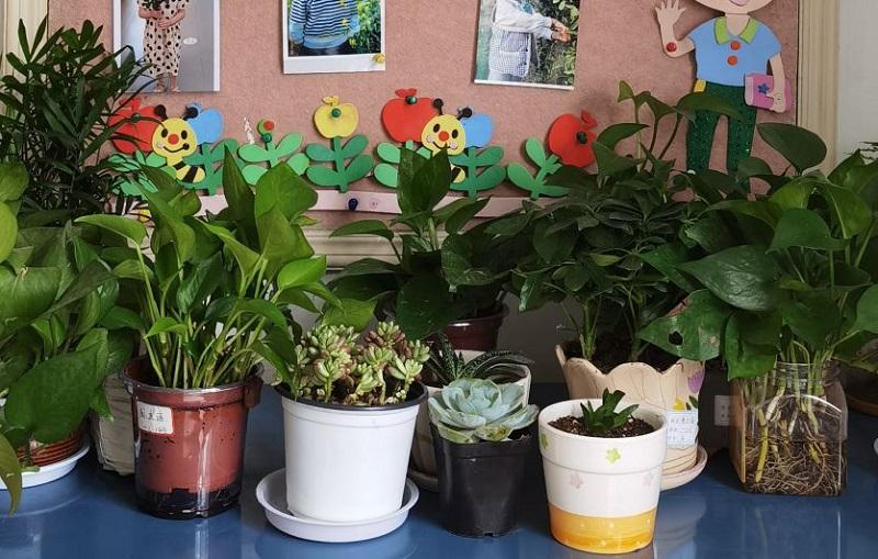 e4a3f3122d812d56bd4410407debd6c7.jpg e4a3f3122d812d56bd4410407debd6c7.jpg