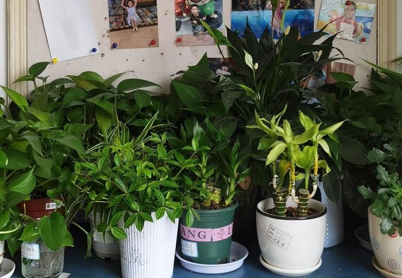 ddd52566f534caa6b75f27e6101f99b5.jpg ddd52566f534caa6b75f27e6101f99b5.jpg