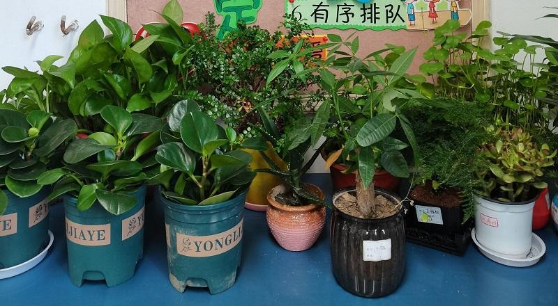 dcae94bb00101f3baaefc5f3e2556e79.jpg dcae94bb00101f3baaefc5f3e2556e79.jpg